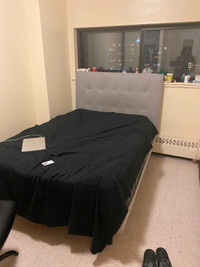 Private room for rent-only female. 401 Princess St, Kingston,