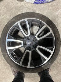 Mini Cooper Tires & Rims 