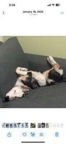 Looking for new Acreage/Home, View more