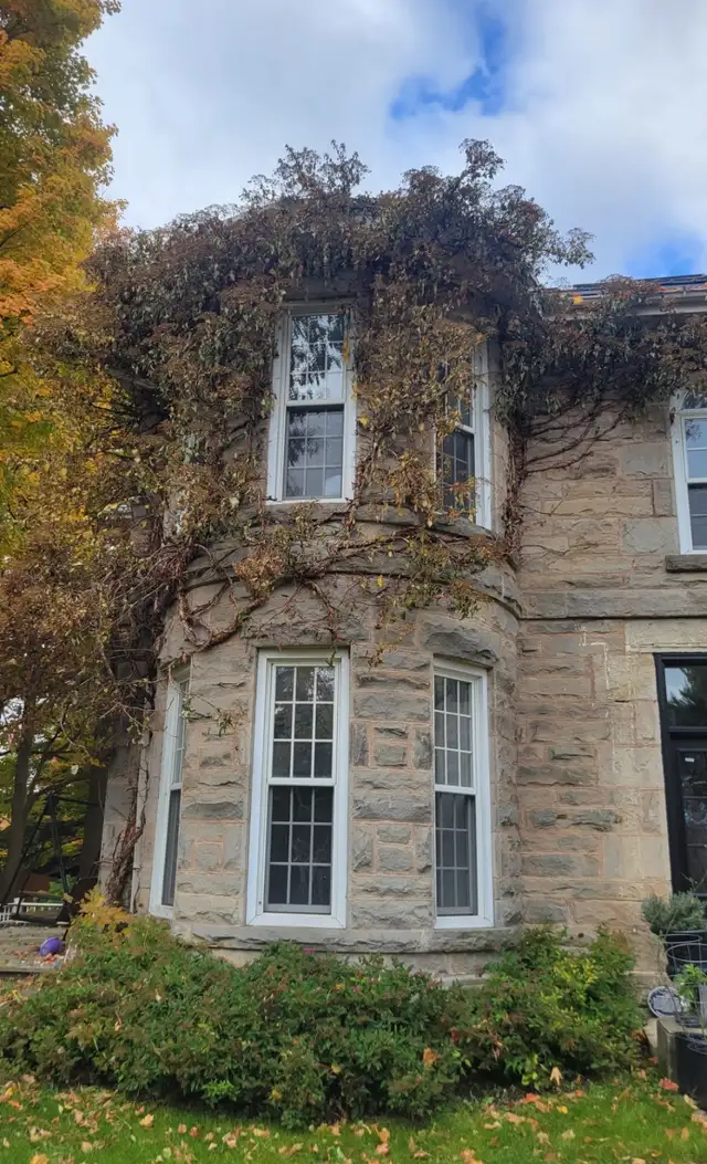 Tree Removal & Yardwork in Patio & Garden Furniture in Oakville / Halton Region - Image 5