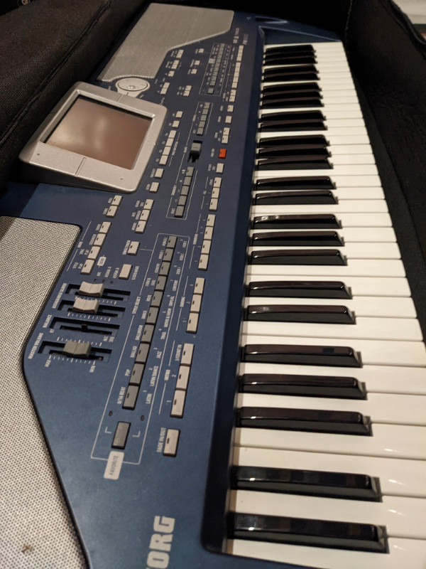 Used, Korg Pa800 for sale  