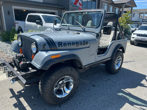 1980 Jeep CJ Renagade