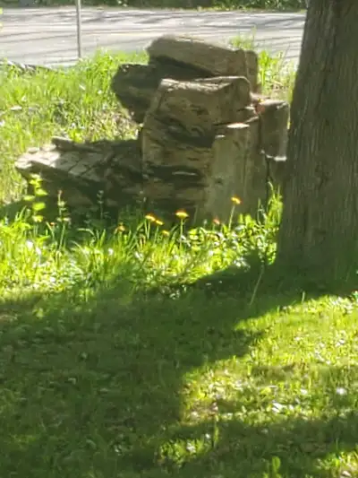 Hard Wood, View more