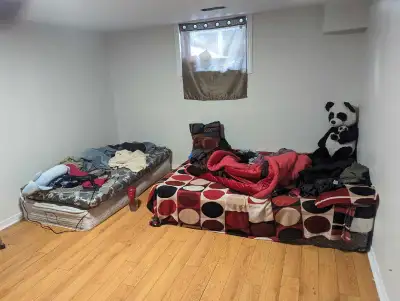 room for rent near georgian college