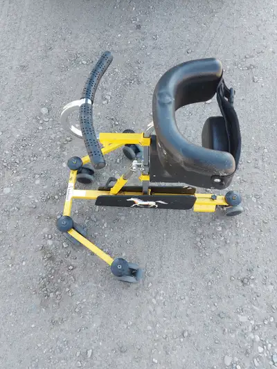 R82 Pony Gait Trainer for little kids, View more