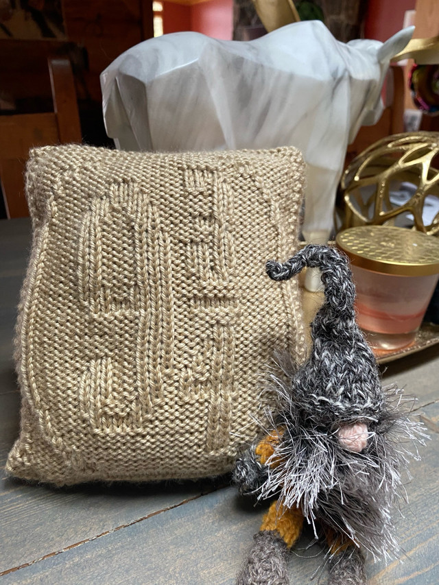 Harry Potter-inspired little pillow in Home Décor & Accents in Smithers