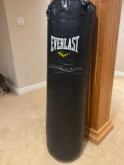Everlast 80LB Heavy Bag, View more