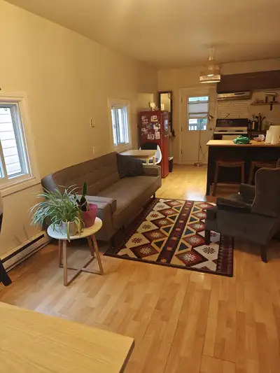 Pretty, Furnished, one bedroom apartment in Vieux Hull/Gatineau