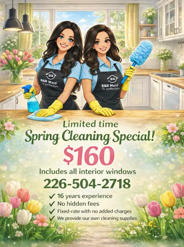 Spring cleaning  team of two cleaning ladies