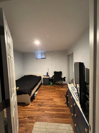 Bedroom in a basement for rent