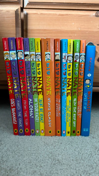 Big Nate books