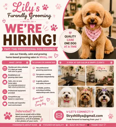 Part-Time/Full time  Professional Dog Groomer, View more