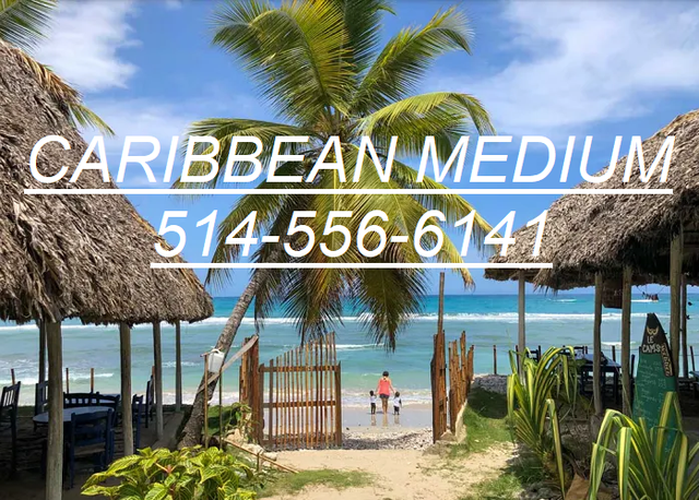 Haitian Medium438520520482508801