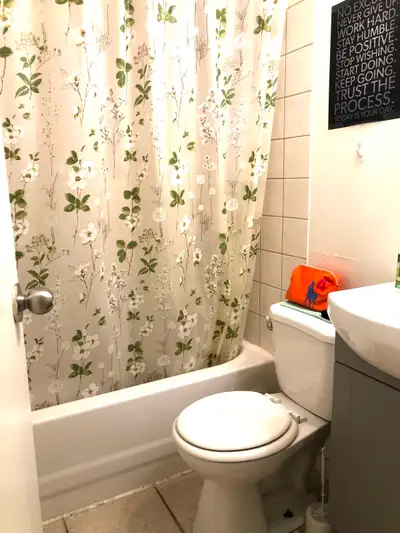 Beautiful studio downtown in the village next to everything I mean everything. Internet included. I...