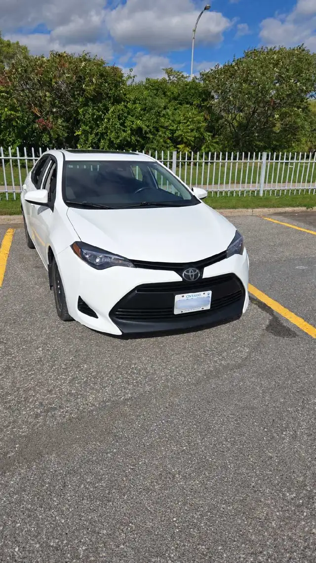 Ottawa ↔ Montreal Rideshare & Small Parcel Delivery