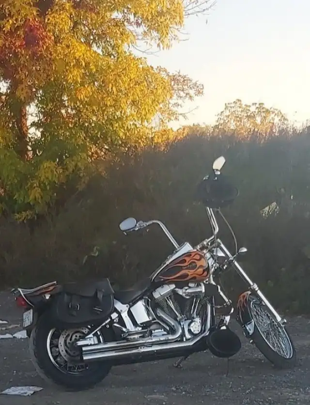 Harley  softail *Signature Series* in Street, Cruisers & Choppers in Ottawa - Image 4