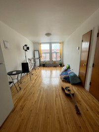 Short Term Sublet 2 Bedroom Plateau April 15 to April 30