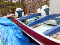 14 foot aluminum boat trailer and 9.9 motor