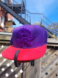 Toronto Raptors Classic Mitchell & Ness Snapback Hat