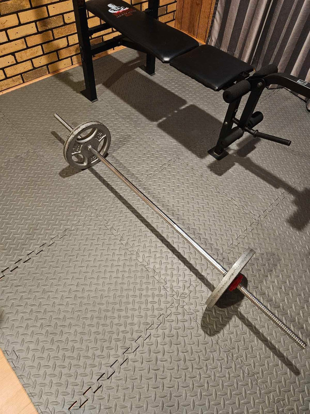 weight plates / poid disques / bench press dans Appareils d'exercice domestique  à Ville de Montréal - Image 3