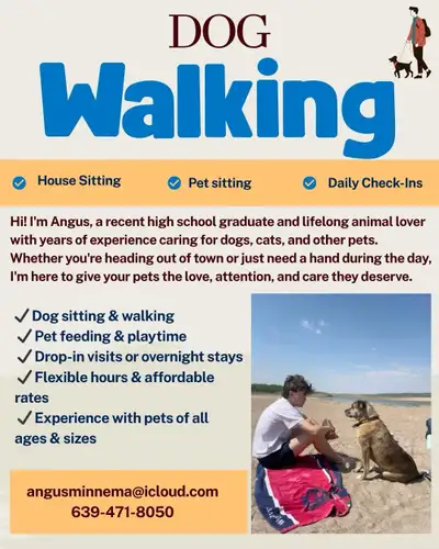 dog Care, View more