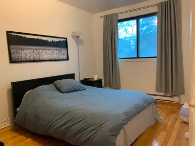 Grand renove 51/2 metro Fabre/ Villeray