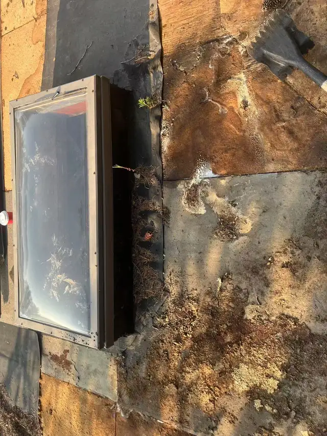 Profession Roofing Services65625973443331121