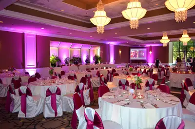 Cordless Uplights, View more