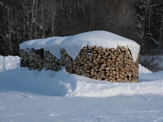Firewood for Sale in Other in Sudbury - Image 2