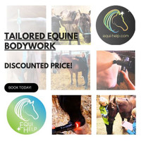 Massage for horses: $30 off!