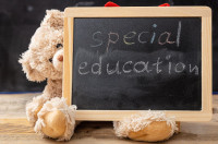 We need qualified elementary teacher - special needs background
