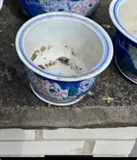 6” porcelain flower pot