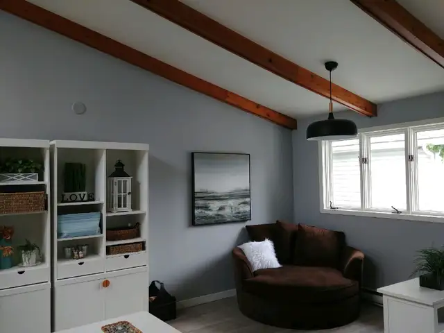 PROFESSIONAL DRYWALL, PLASTER RESTORATION AND PAINT62865709825026123