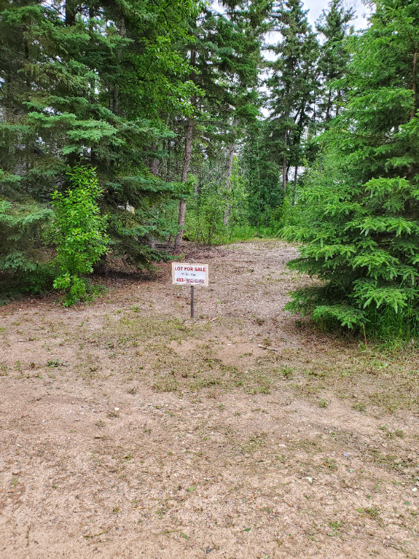 Brightsand Lake Lot for Sale Land for Sale Prince Albert Kijiji