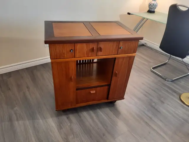 Very Cool High End Cabinet **SOLD** in Hutches & Display Cabinets in Kingston - Image 3