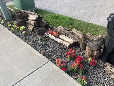 Firewood / Tree Truck Cutting, View more