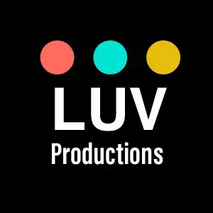 Affordable HD/4K Videographer / Videography62863244688003121