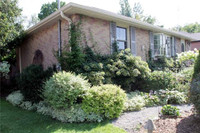 Charming Cobourg Bungalow For Rent