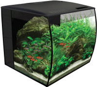 Fluval Flex 9 Gallon Aquarium