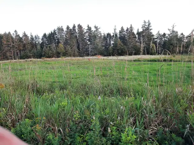 land with ocean views  in Land for Sale in City of Halifax - Image 3