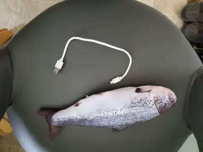 Floppy Fish and Robotainment Cat Toys, View more