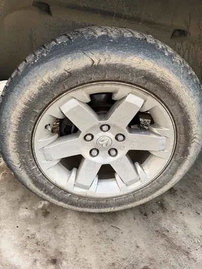 Selling a set of wheels off my 2010 ram 1500 Tires are brand new 275/60/20 Venom power be hunter wts