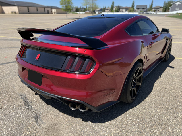 2018 Ford Mustang Shelby GT350R in Cars & Trucks in Calgary - Image 3