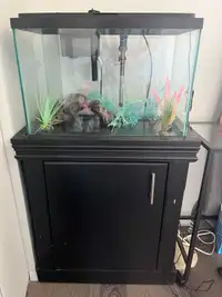 20 Gallon Fish Tank & Stand & more - everything but substrate