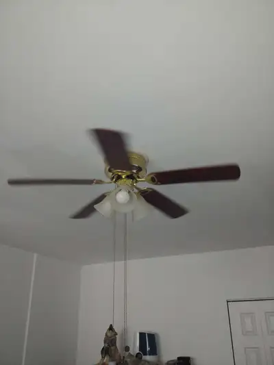 Ceiling Fan with Light Fixture, View more