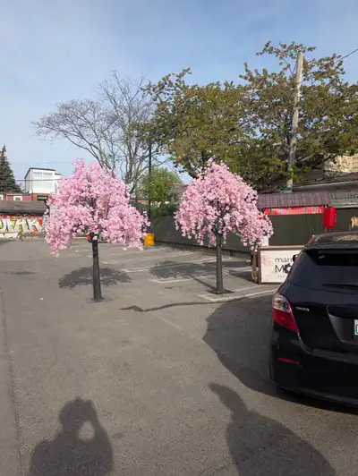 Artificial Cherry Blossom Trees | Rental & Purchase Create a breathtaking atmosphere with our premiu...
