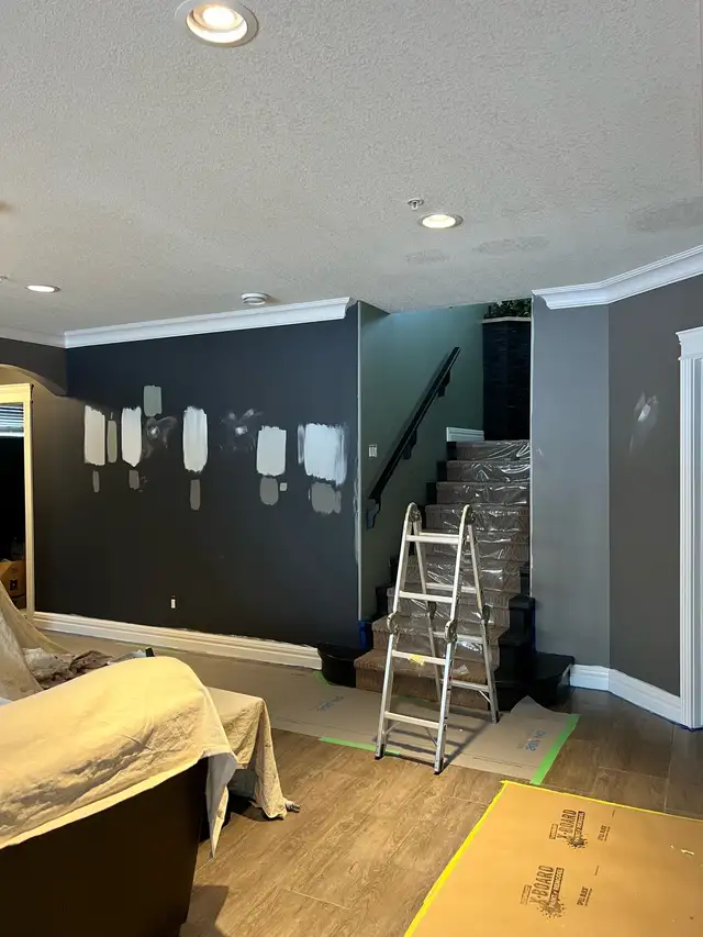 ⭐️ House, Condo & Commercial Painting Services ⭐️62863722910595122