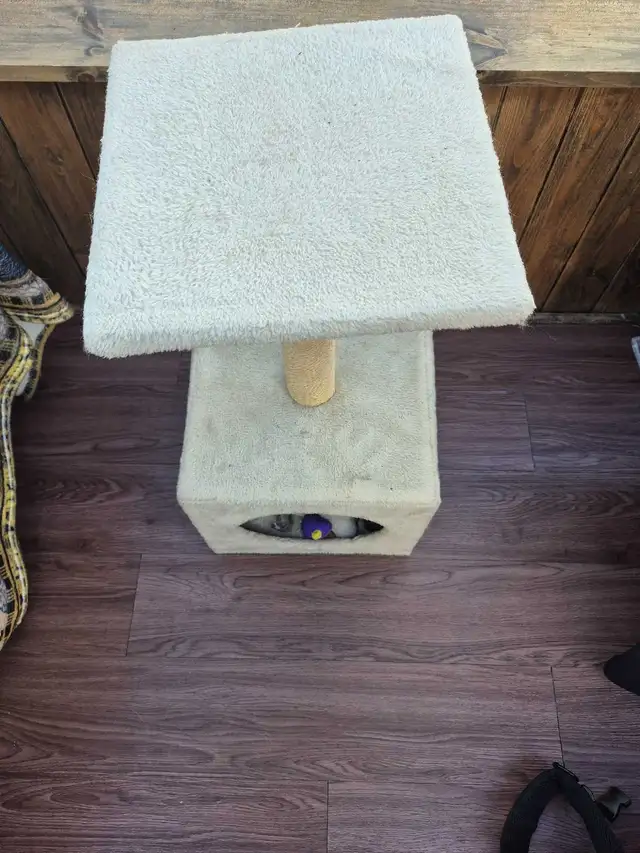 Arbre à chat  in Accessories in Lanaudière - Image 3