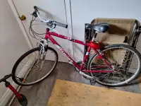 Raliegh bike