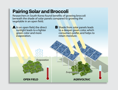 -Transform Your Farm with Solar Energy That Boosts Crop Growth, View more